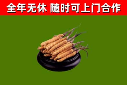 容城县烟酒回收冬虫夏草.jpg